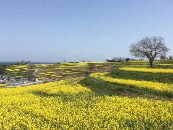 海沿いの絶景キャンプ場10選！BBQやアクティビティが楽しめる全国の人気スポット一覧