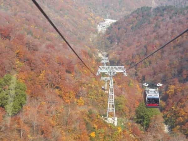 【谷川岳ガイド2022】紅葉の見ごろ情報をご紹介！ロープウェイからの景色◎