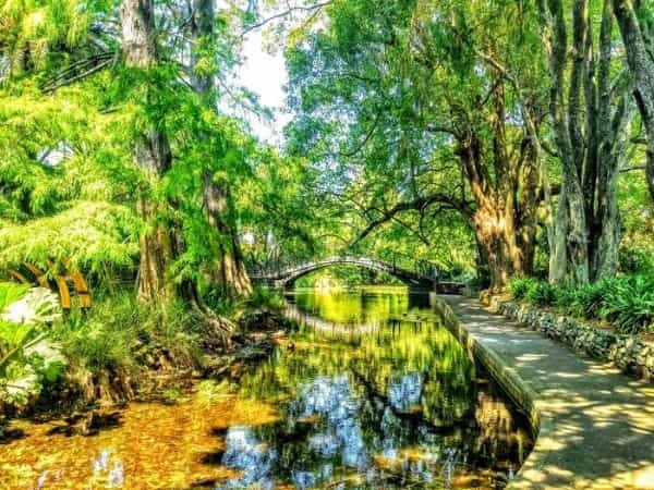 ニュージーランド市街を訪れたら知っておきたい＆おススメの場所