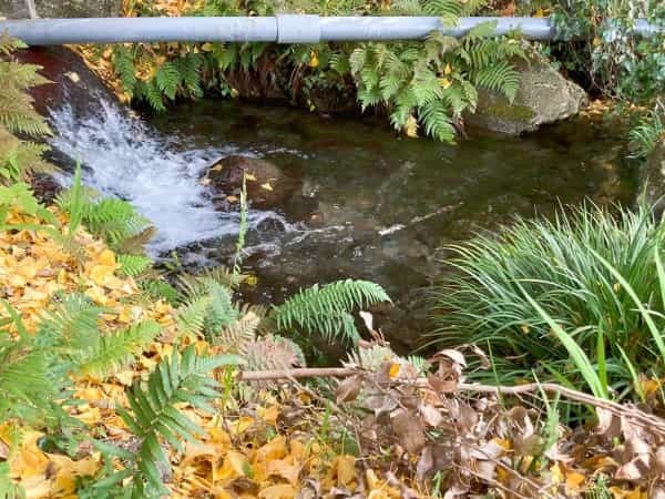 【熊本の無人神社】地域の方の憩いの場の水源「塩井社」