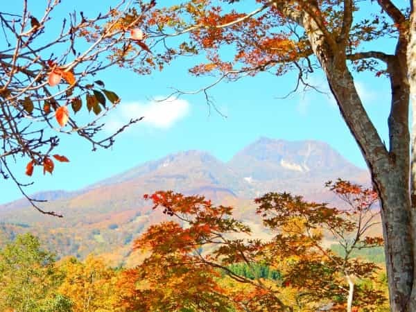【2022年】紅葉の見頃はいつまで?穴場から定番までおすすめスポット24選