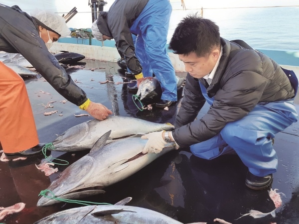 スシローのバイヤーが世界の海から集めた激推しネタが大集合！『世界の海からこだわりネタ祭』開催！＜8月30日（水)より全国のスシローで期間限定販売＞