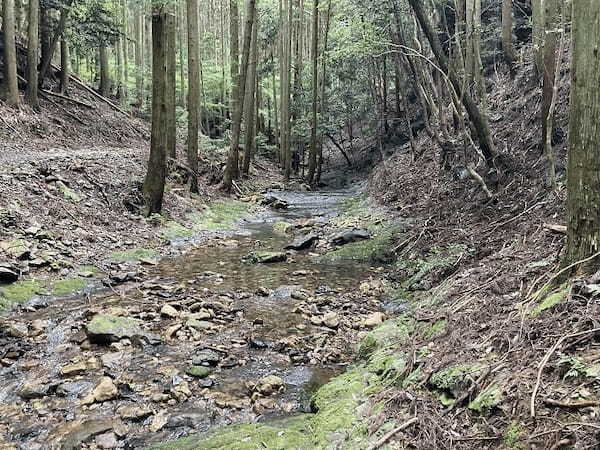 【対馬】世界の山々を登頂したクライマーも「この山は面白い！」といった白嶽（しらたけ）とはどんな山？