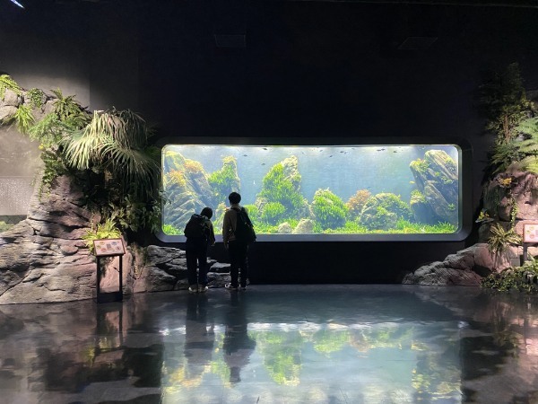 【連載】沖縄空港から一番近水族館！DMMかりゆし水族館最新技術がすごい！