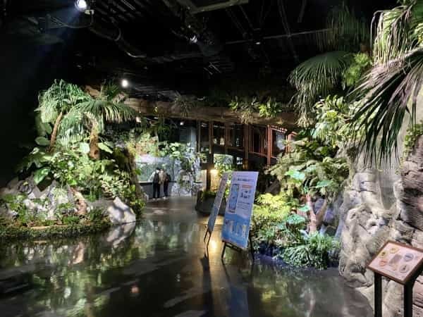 【連載】沖縄空港から一番近水族館！DMMかりゆし水族館最新技術がすごい！