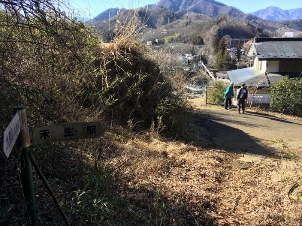 【冬の低山】秀麗富嶽十二景「九鬼山（970ｍ）」のおすすめポイント