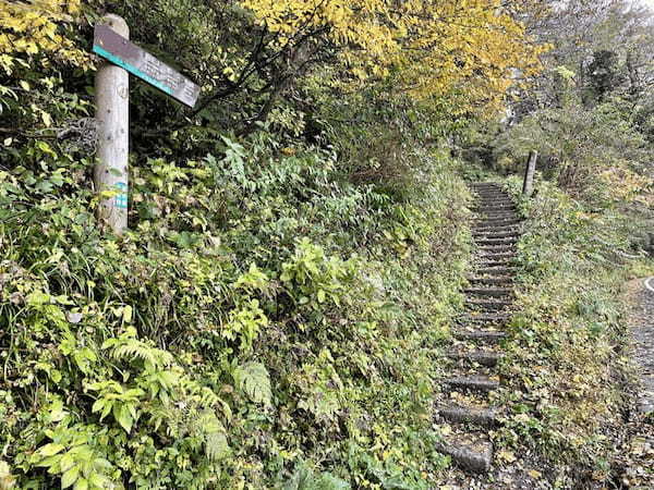 【日本百名山】2座目は雨の中をひたすら登った大山(鳥取県)