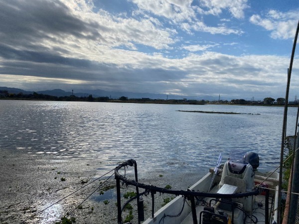 江津湖の外来種を駆除せよ！ついでに雷魚食ってきた