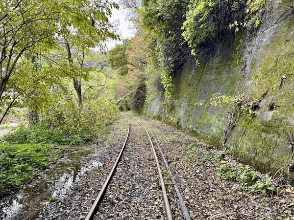 【秋田】大館・小坂鉄道レールバイクに乗って爽快サイクリング？