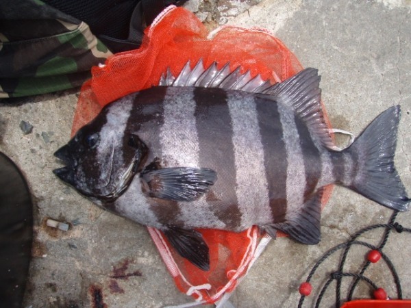 釣り初心者への入門ガイド！気になる初めての疑問を解消しよう