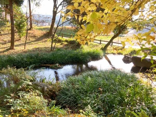 【熊本の無人神社】地域の方の憩いの場の水源「塩井社」