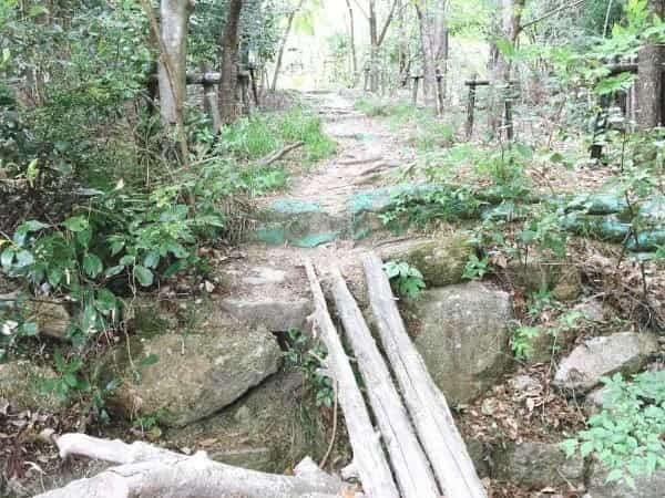 甲山「鷲林寺」のさらに奥、「観音山」の絶景を見にいってみた【にしつーアウトドア】