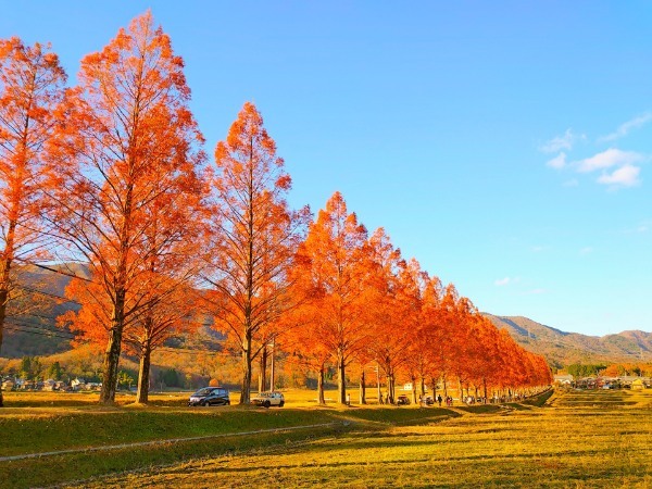 【2022年】紅葉の見頃はいつまで?穴場から定番までおすすめスポット24選