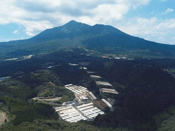 “霧島黒豚”の豊かな旨みが際立つ秋冬限定メニュー「霧島黒豚ベーコンのオリジナルカルボナーラ」を11月8日（水）より発売