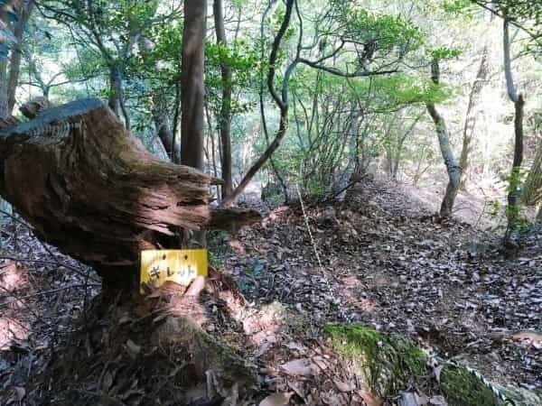 宝塚から「樫ヶ峰（461.1m）」を越えて、西宮へ帰ってみた【にしつーアウトドア】