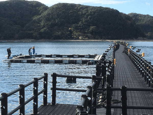 【和歌山】日本遺産・鯨とともに生きる～くじらキッチン第2弾をレポートします！～