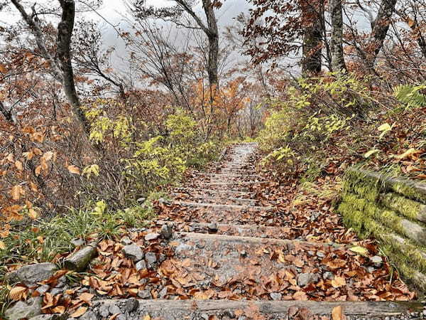 【日本百名山】2座目は雨の中をひたすら登った大山（鳥取県）