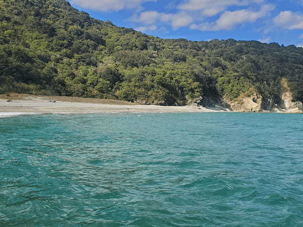 【2時間で行ける無人島】非日常を体験できる！和歌山「地の島」をご紹介！