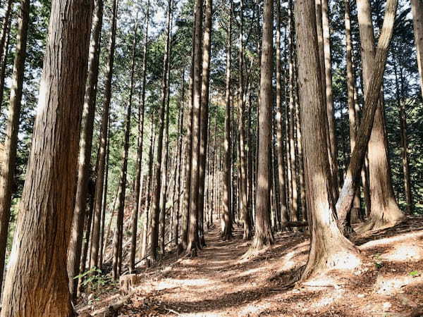 駅から歩いて30分で大絶景！「箕面大滝」と気軽な山登りでリフレッシュ！！