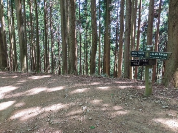 初心者のための御岳山登山ガイド！おすすめルートや服装、アクセスまで全てわかる！