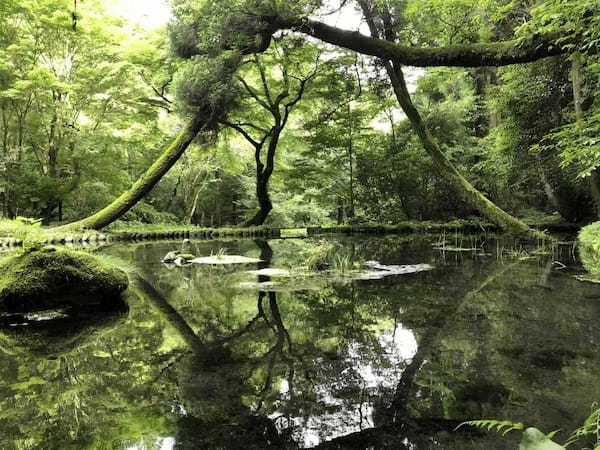 【ものは考えよう】熊本県内で世界旅行気分を味わおう