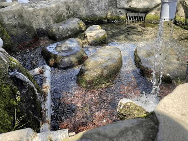 湧き出る美しい水を飲んで散歩をしたら、ロマンが見えた～菊池市七城町亀尾　前川水源、亀尾城跡～