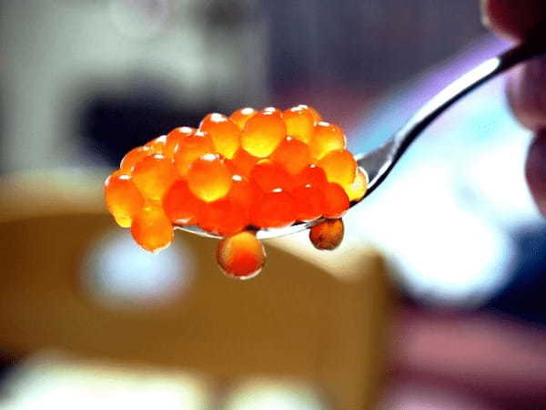 『いくら』と『すじこ』の違いとは?「ばら子」や「はらこ」ともいうけど何が違うの?