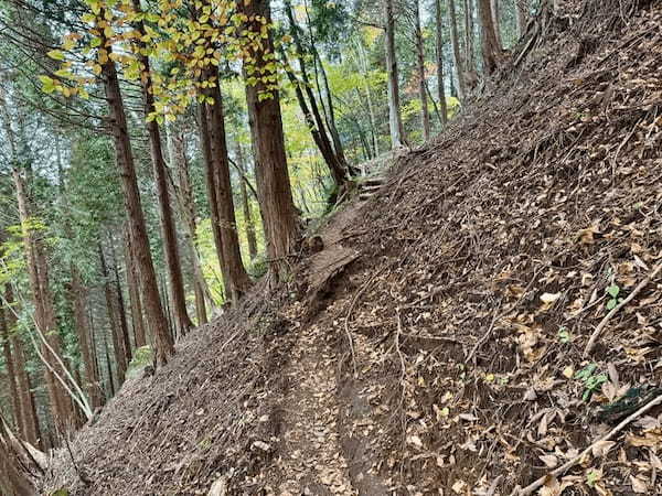 【日本百名山】27座目の祖母山は道迷いに注意が必要（大分県・宮崎県）