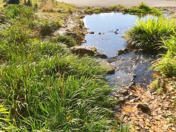 【熊本の無人神社】地域の方の憩いの場の水源「塩井社」