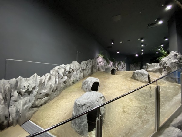 【連載】沖縄空港から一番近水族館！DMMかりゆし水族館最新技術がすごい！