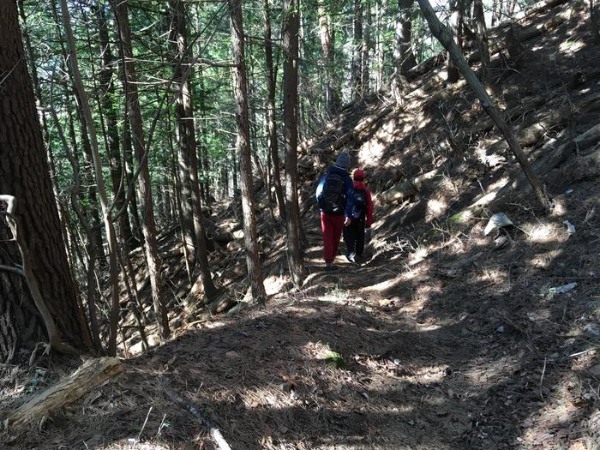 【冬の低山】秀麗富嶽十二景「九鬼山（970ｍ）」のおすすめポイント