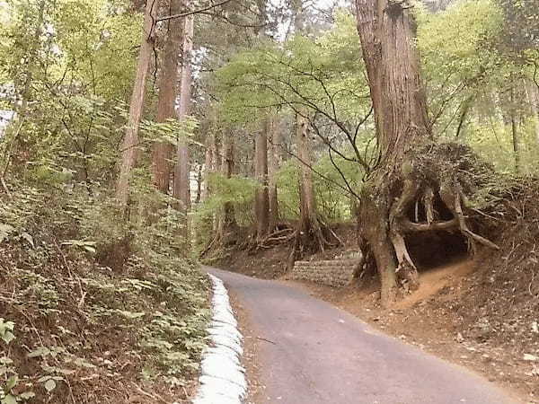 【奥多摩】御嶽山プチ旅行ガイド！初心者向けハイキングコースや近くの温泉もご紹介！