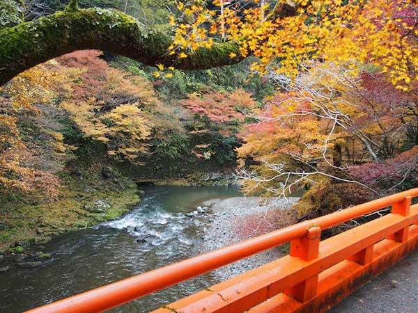 京都の紅葉といえば三尾三山！神護寺・西明寺・高山寺