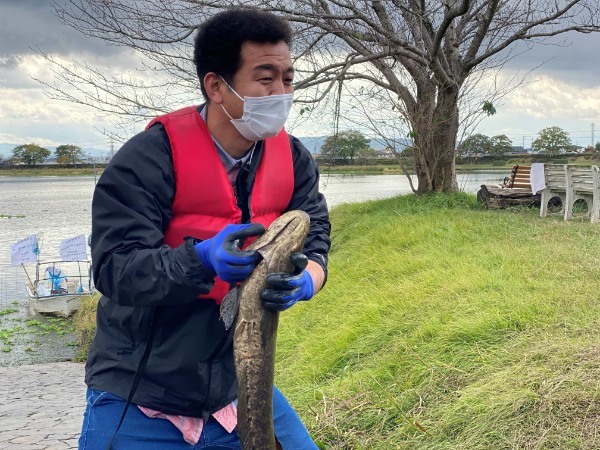 江津湖の外来種を駆除せよ！ついでに雷魚食ってきた