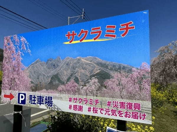 【阿蘇郡高森町】早よ行かんと散ってしまうばい！１.５kmの桜ロードが幻想的な「サクラミチ」に行ってきた！