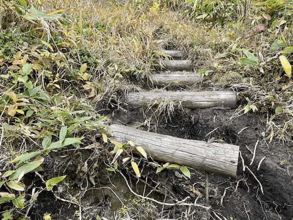 【島根】石見富士「三瓶山」のカルデラを大縦走！