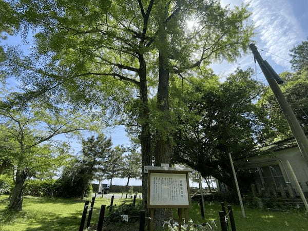 【宇城市】車を飛ばして戸馳島（とばせじま）へ。行き当たりばったり旅。