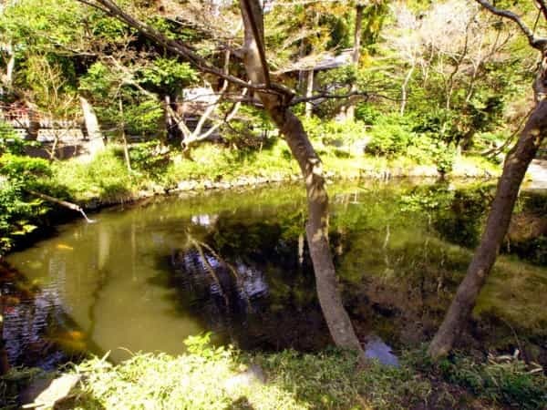 鎌倉の「鶴岡八幡宮」徹底ガイド！ 大河ドラマ館も含めた見どころ紹介