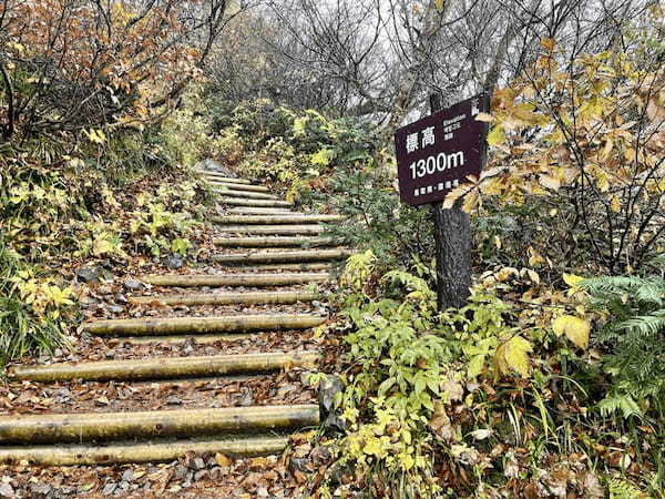 【日本百名山】2座目は雨の中をひたすら登った大山(鳥取県)