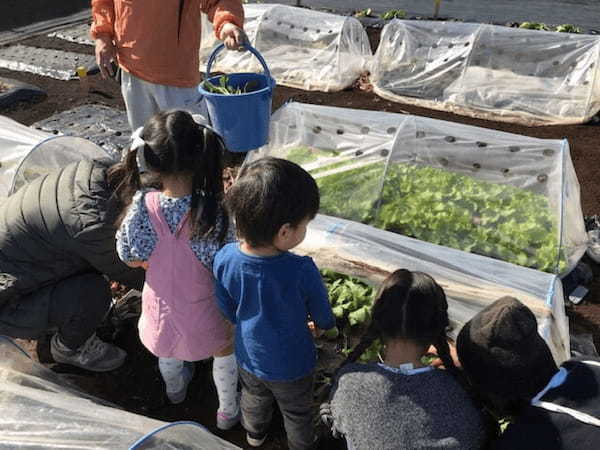 今話題の貸し農園「シェア畑」の評判＆料金をチェック！東京のおすすめシェア畑10選