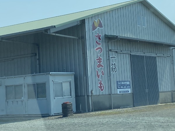 熊本で見つけた「なんだこれ？」珍百景