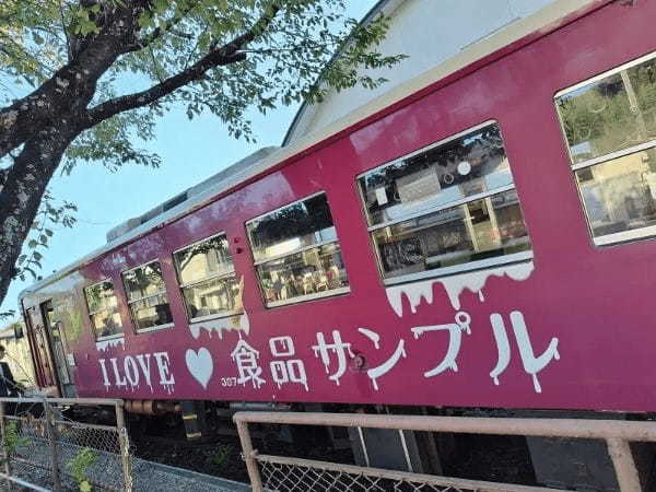 長良川鉄道で「食品サンプル列車」運行中　そばや納豆のつり革も