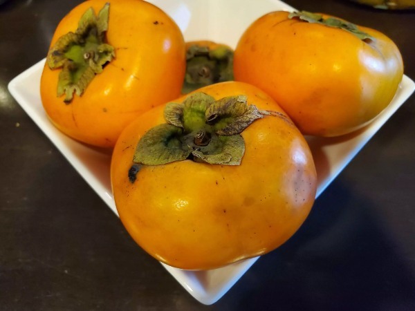 【連載】旦那めし。簡単！柿スイーツの作り方と柿について知識を紹介！