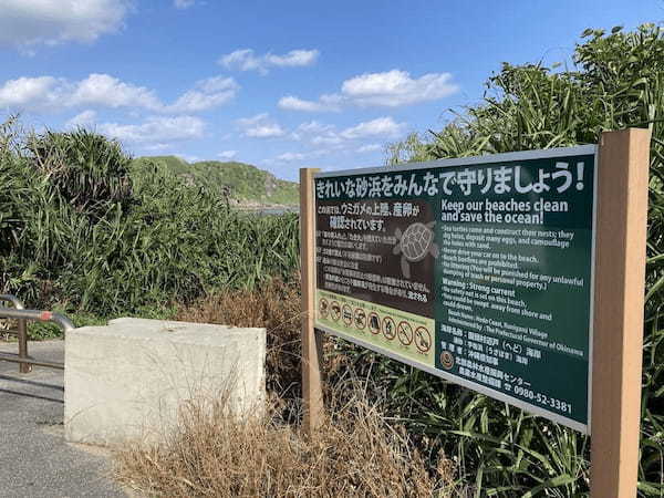 軽石の海を潜るとそこには暗闇と謎の生物が 〜沖縄本島北部の軽石状況レポート〜
