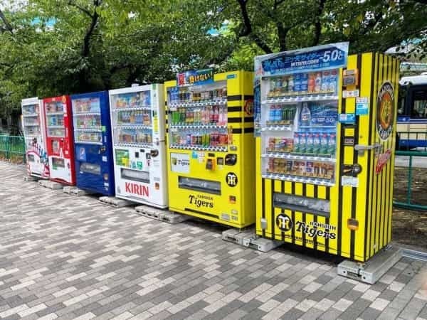 甲子園球場はどこの都市を手本につくられたでしょう？【西宮クイズ】