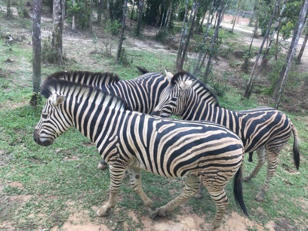 ベトナム最後の楽園フーコック島の行き方やホテル事情は？2泊4日の弾丸旅