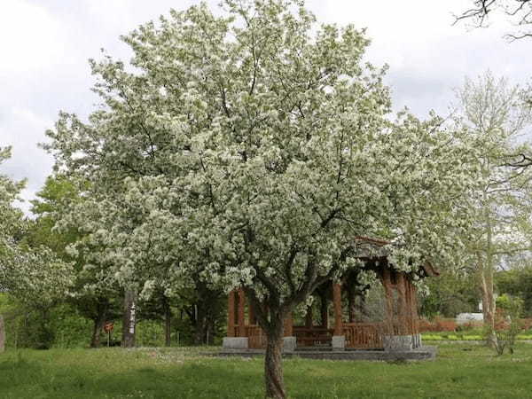 【北海道】芦別市にあるキャンプ場3選！釣りやカヌー体験ができる施設も！