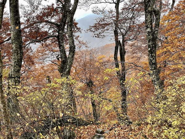 【日本百名山】2座目は雨の中をひたすら登った大山（鳥取県）