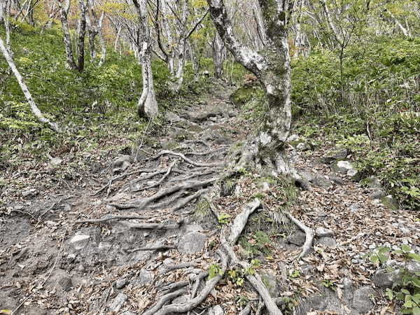 【島根】石見富士「三瓶山」のカルデラを大縦走！