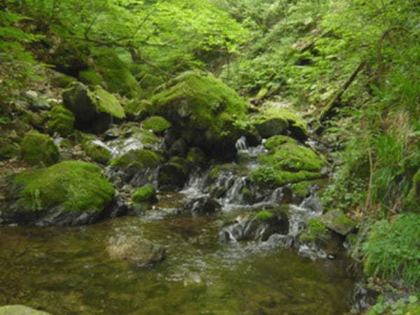 【関東】梅雨の登山におすすめの山4選！景色が残念でも楽しめるルート情報も！